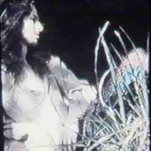 Instrumental: Bones - Mulch